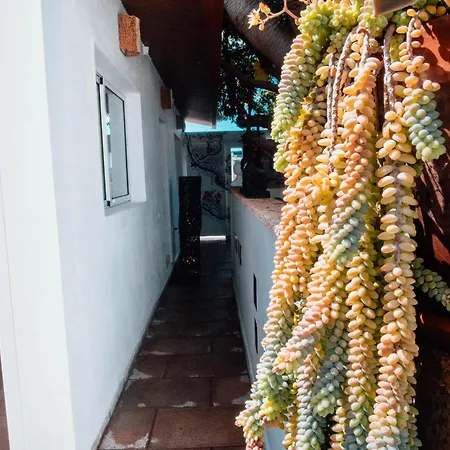 The Essence Of Jakarta Villa Arona (Tenerife)